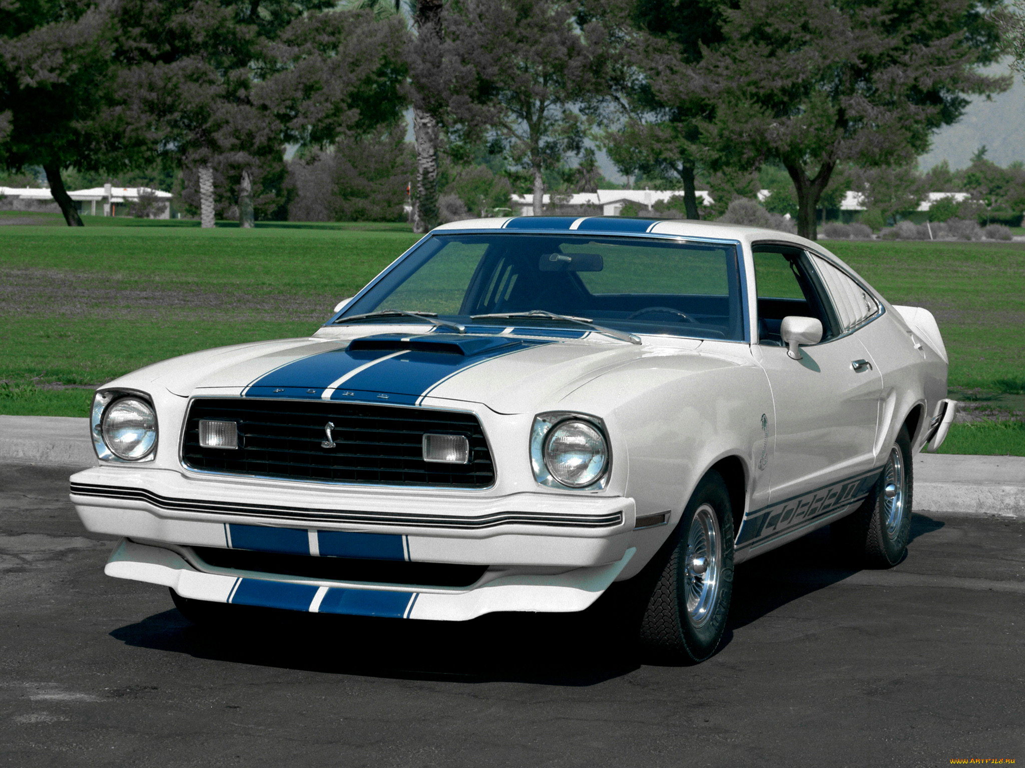 , mustang
